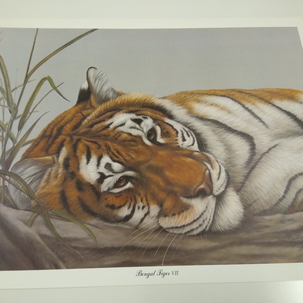 Bengal Tiger VII by Harold Rigsby Double Signed